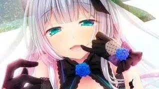 Little Sick Girls ～鏡の中のアイドル～ / Little Sick Girls ～镜中的偶像 +存档 封面
