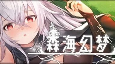 Endless forest dream / 森海幻梦 封面