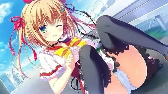 预览图 9 预览图
