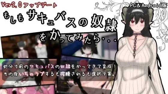 もしもサキュバスの奴○をかってみたら・・・ / 如果试着买下魅魔奴隶 封面
