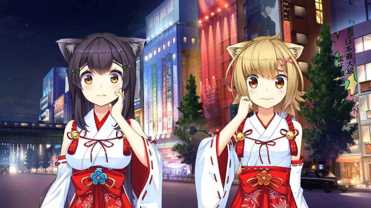 预览图 9 预览图
